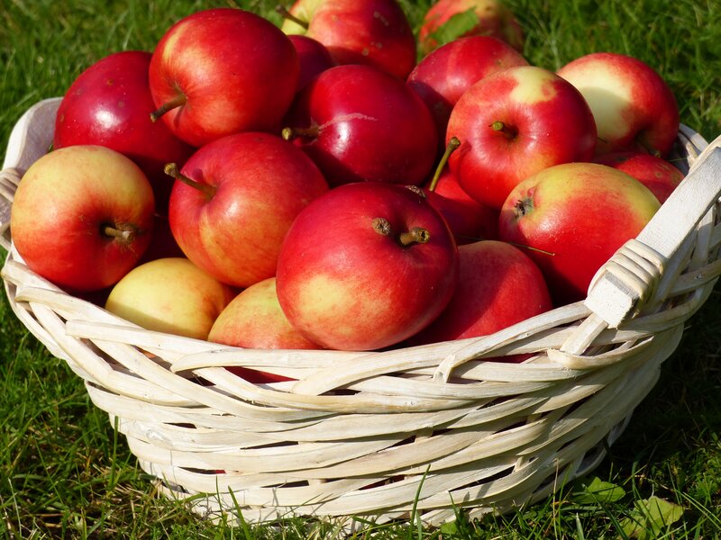 Red Apples in Basket — Serene, Afternoon