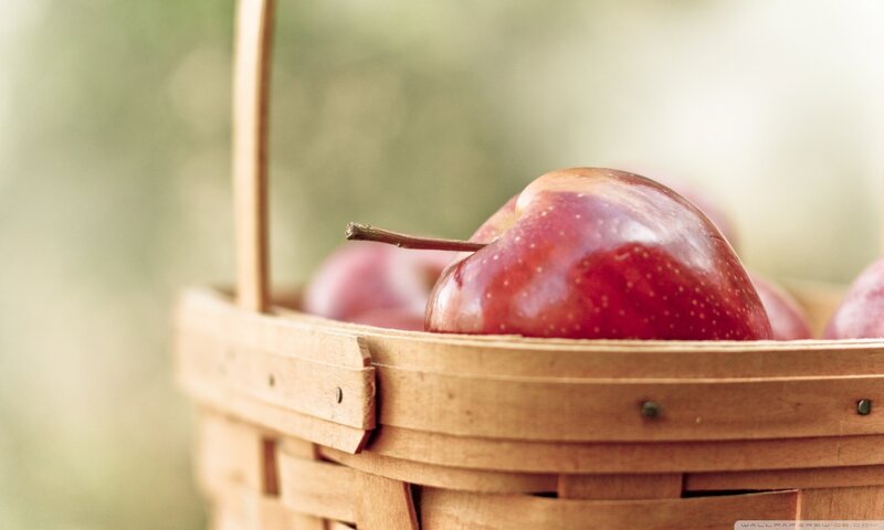 Red Apples in Basket — Serene, Autumn