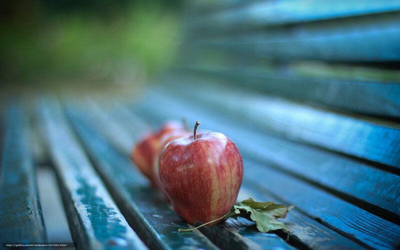 Red apples on a bench