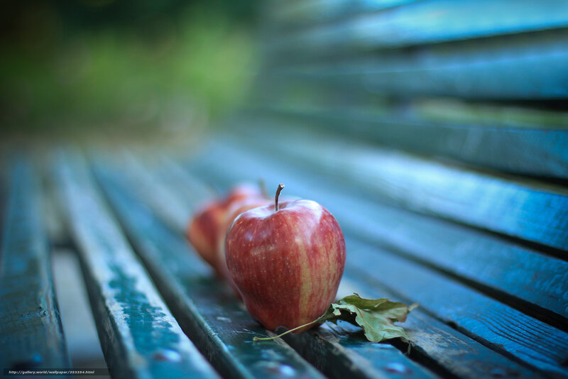 Red Apples on Bench — Serene, Afternoon