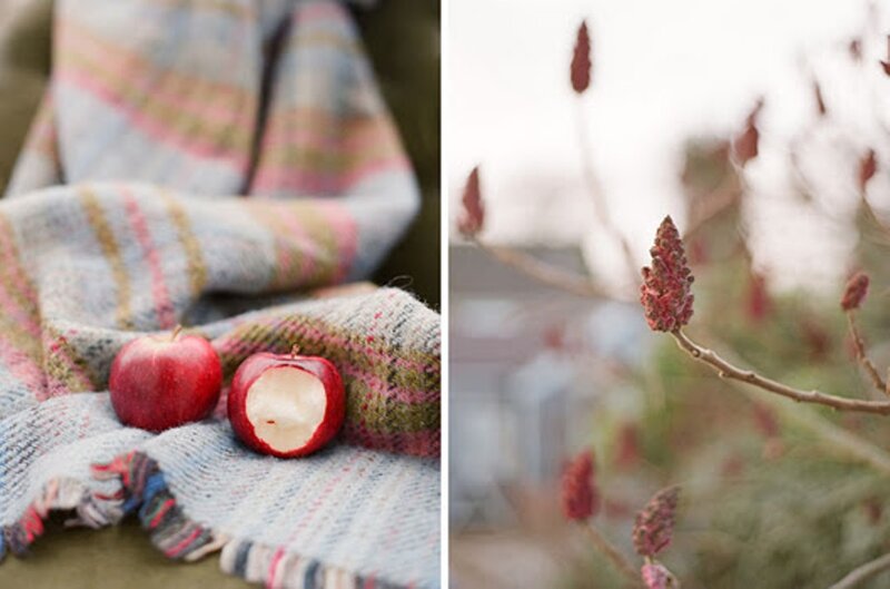 Red Apples on Blanket