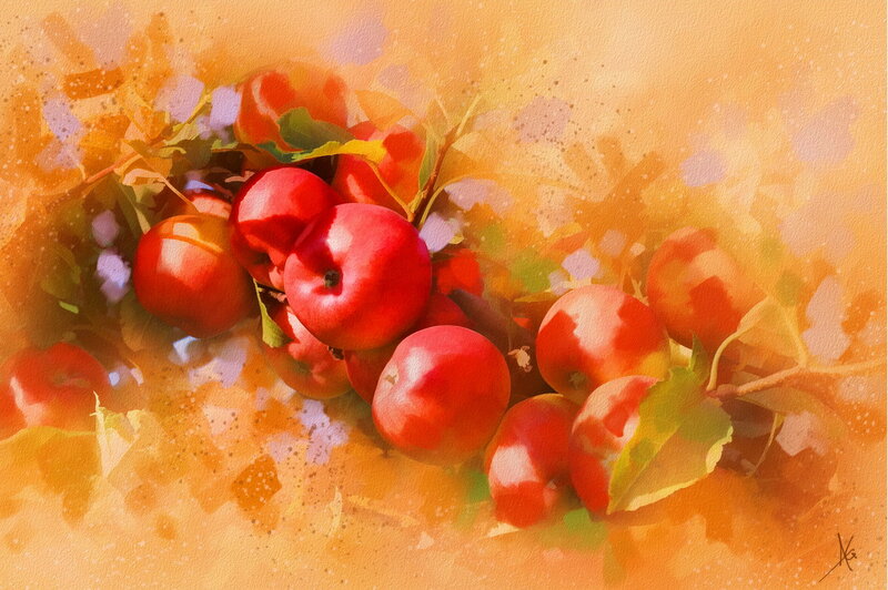Red Apples on Branch