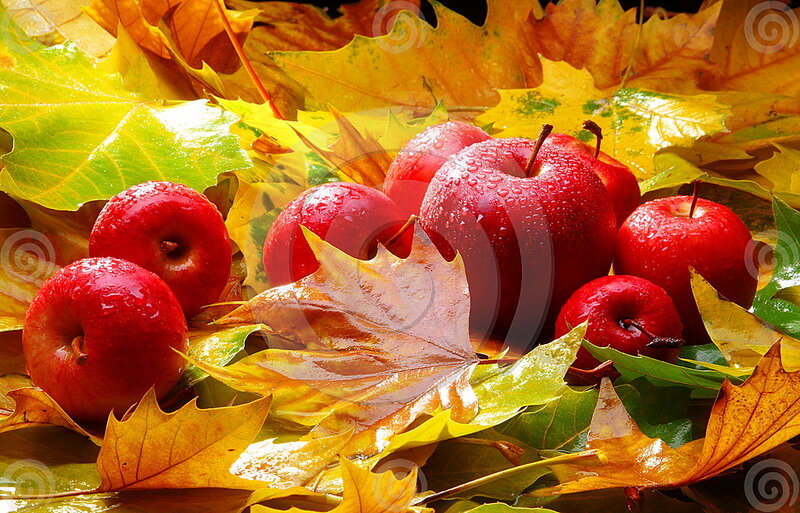 Red Apples on Leaves