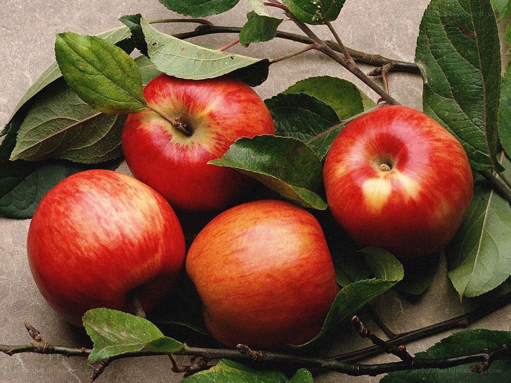 Red apples with green leaves