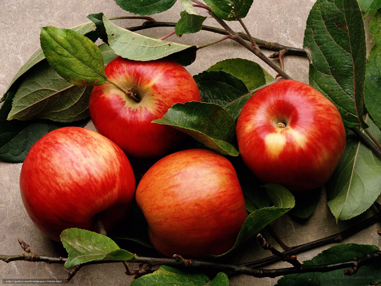 Red apples with green leaves