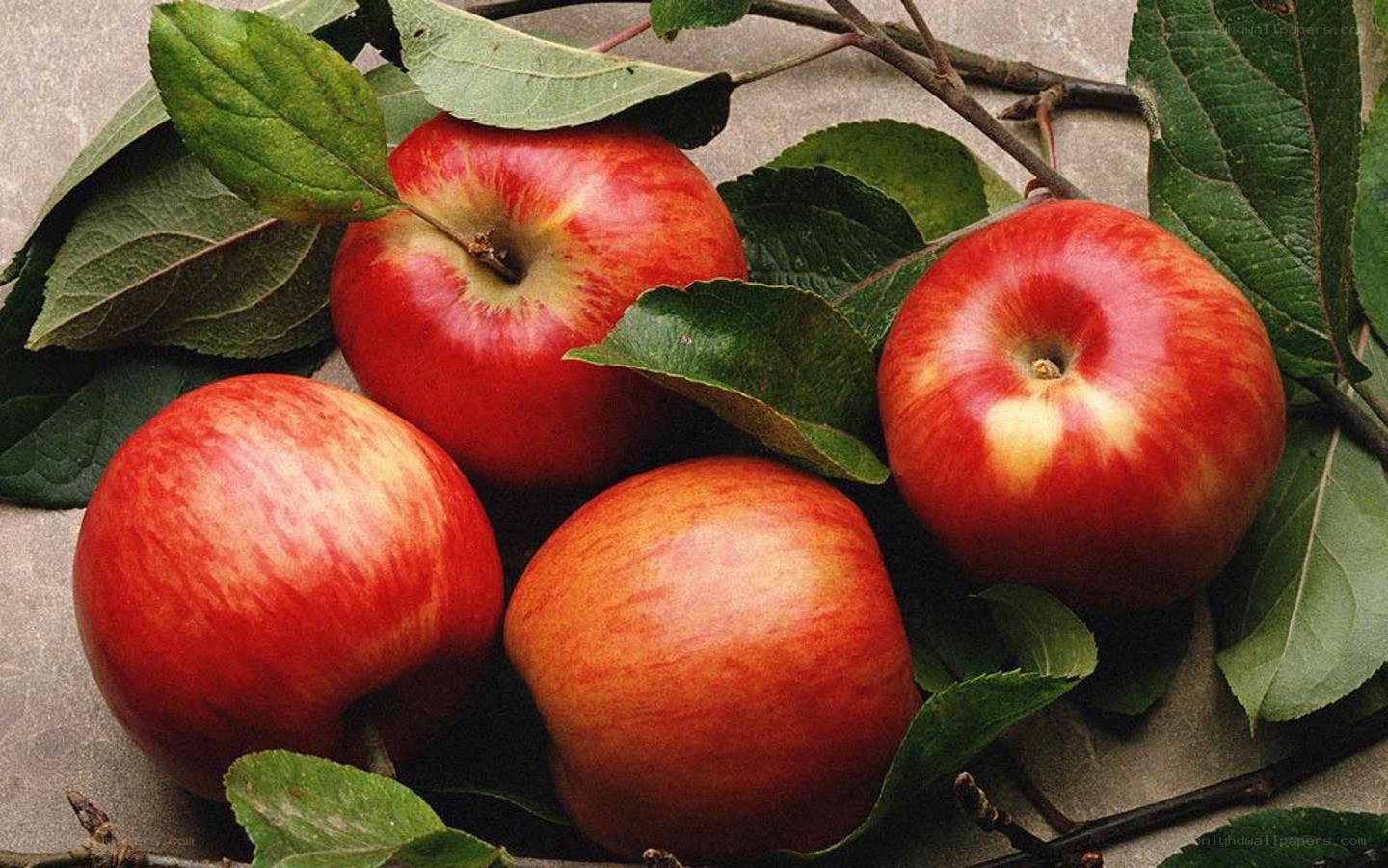 red apples with leaves