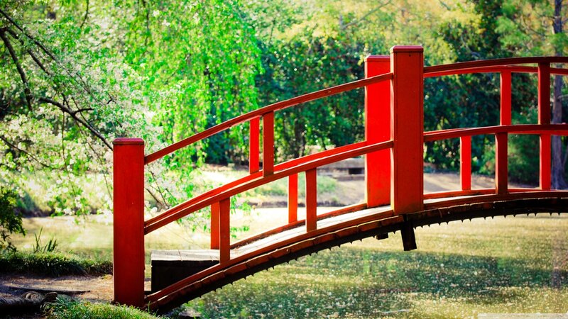 Red Arched Bridge — Serene, Afternoon, Photograph, Trees, Pond