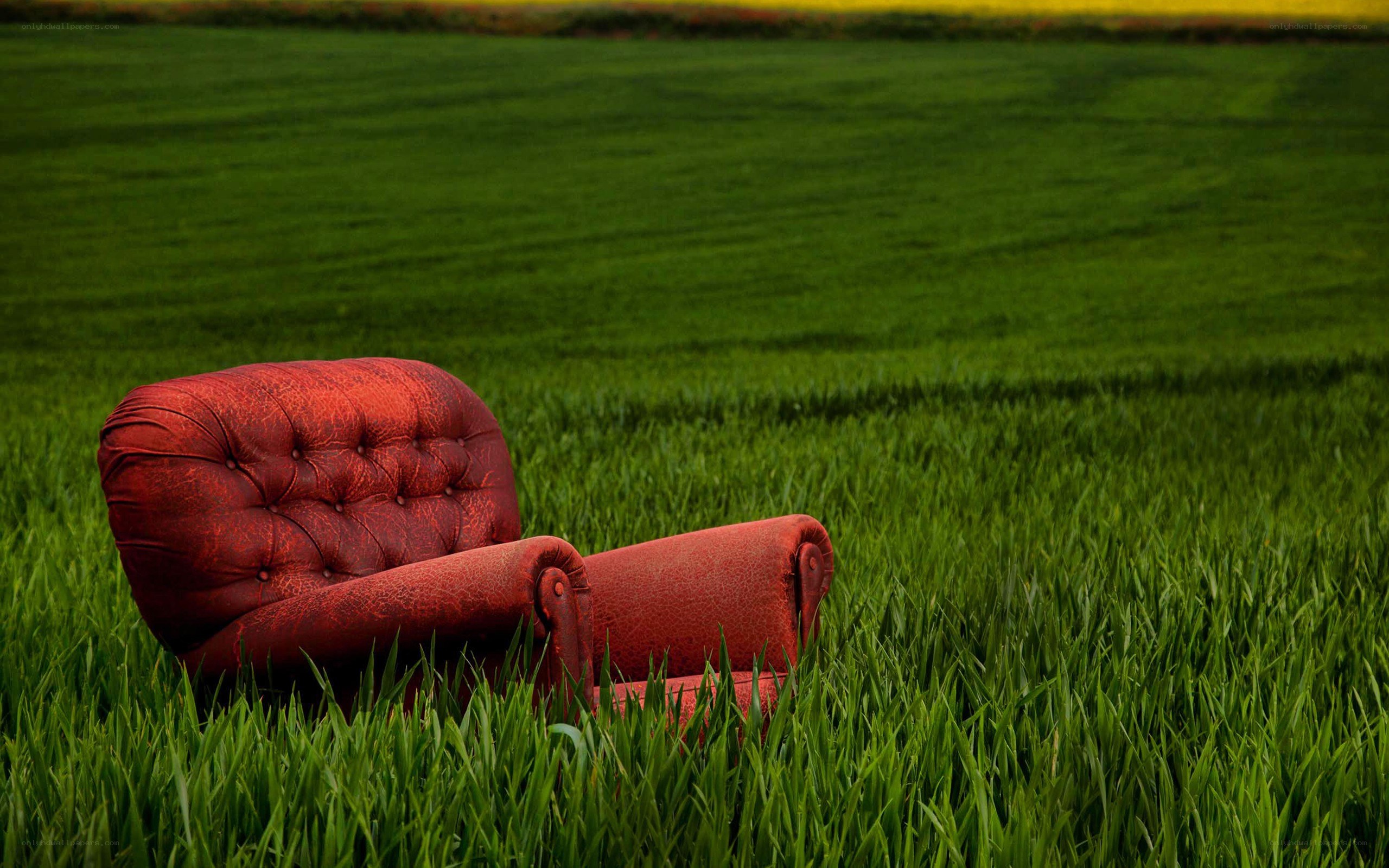 Red armchair in a green field