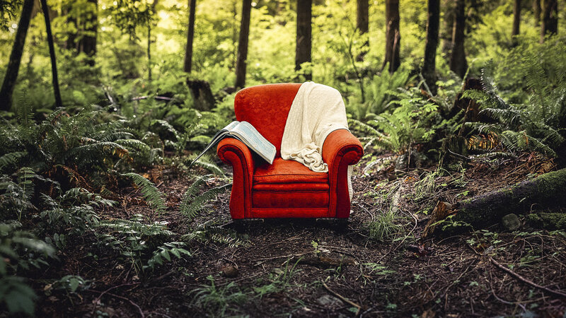 Red Armchair in Forest