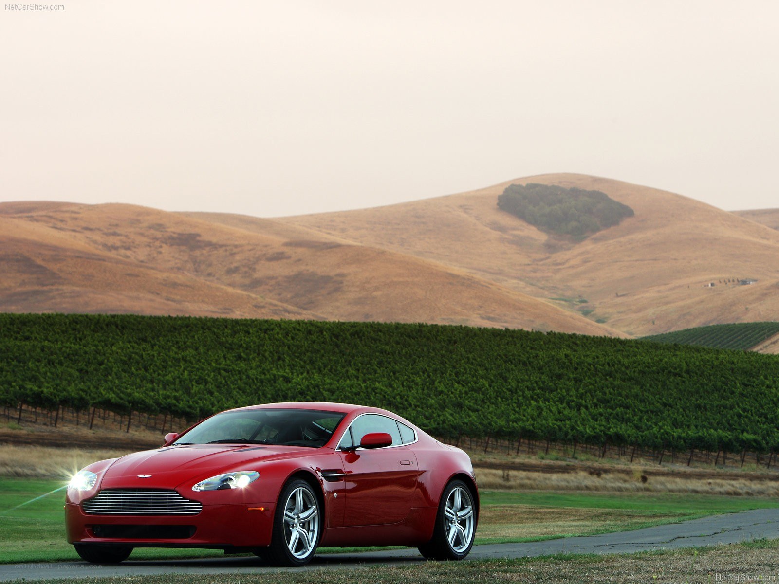 Red Aston Martin in vineyard