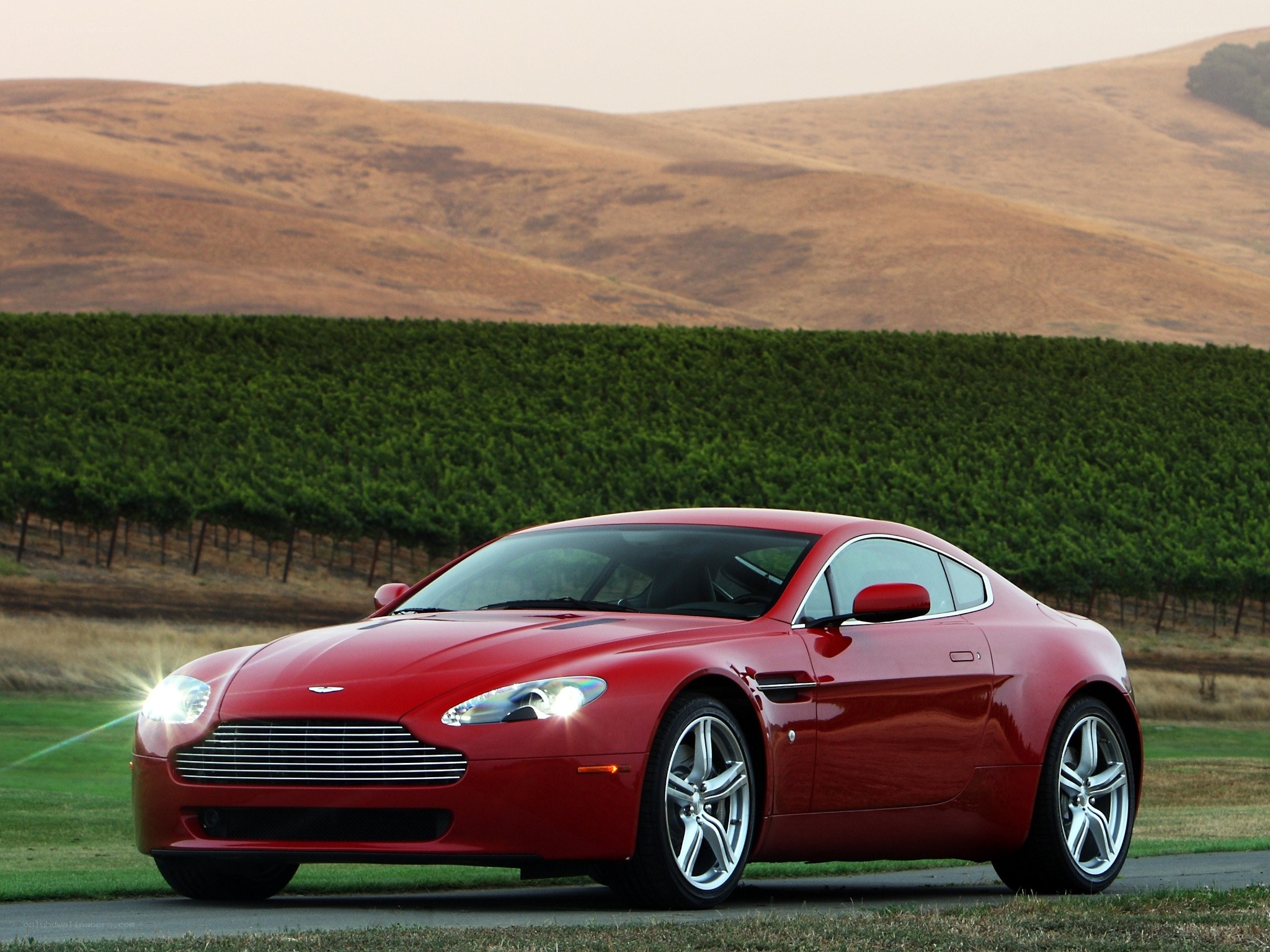 Red Aston Martin in vineyard