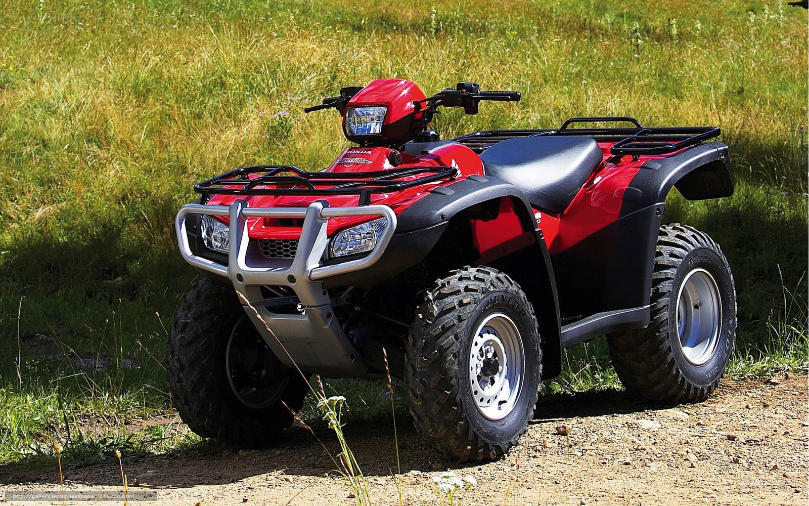 Red ATV in grassy field