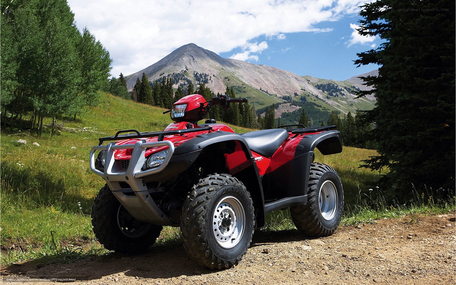Red ATV in mountain landscape