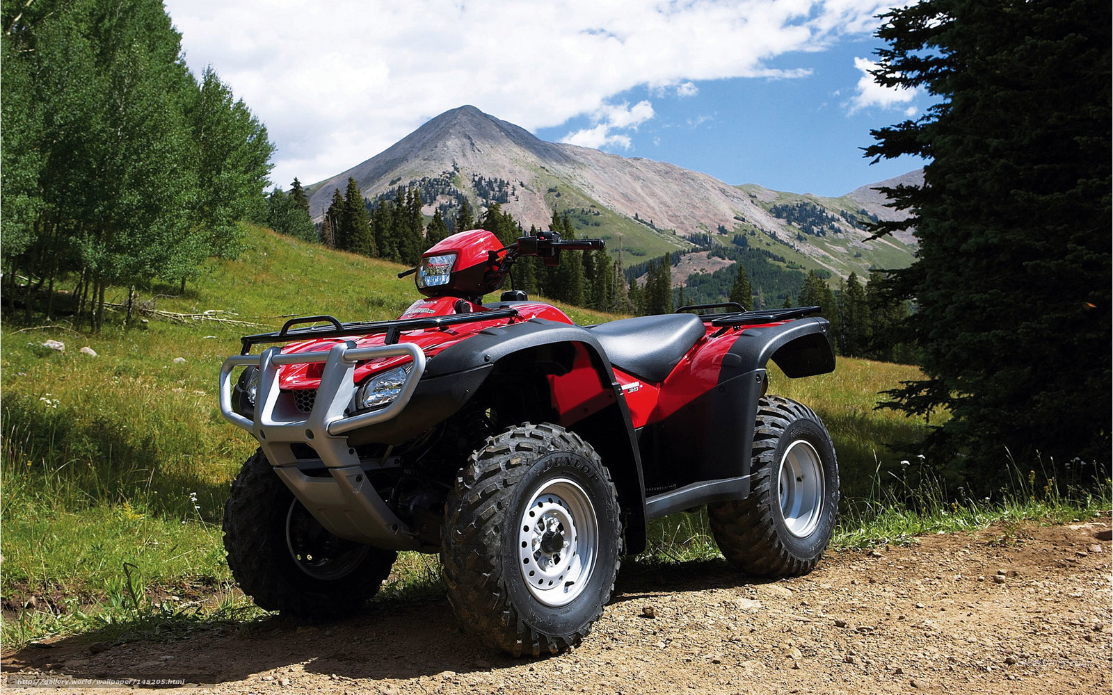 Red ATV in mountain landscape