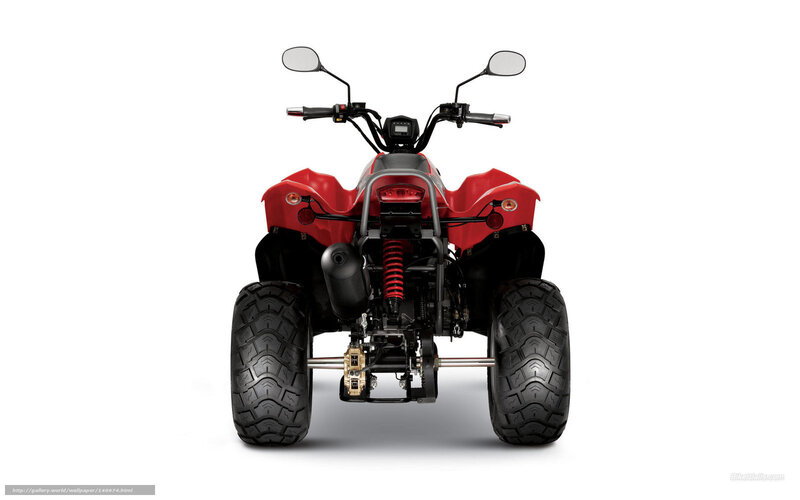 Red ATV rear view