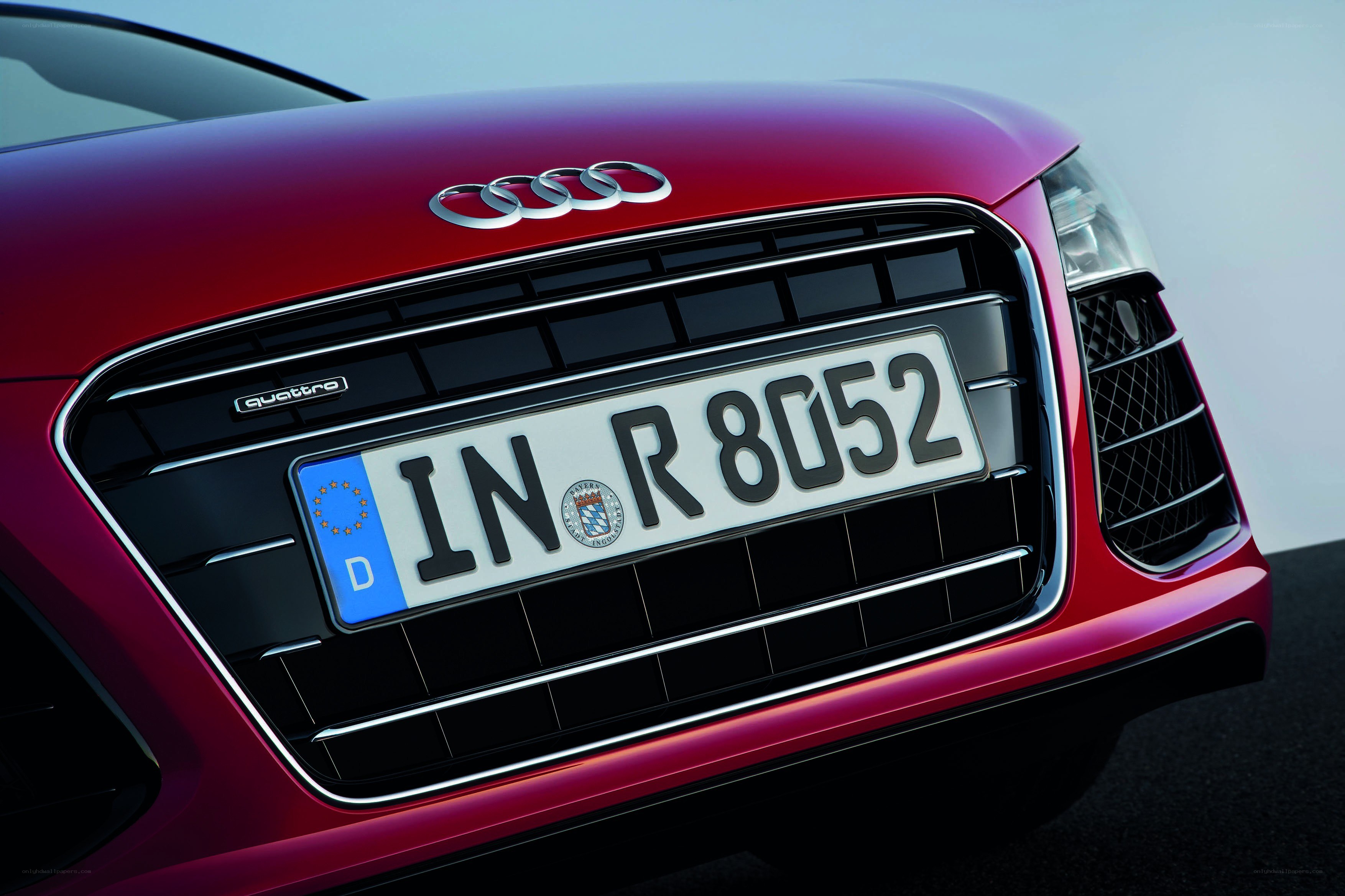 Red Audi front grille