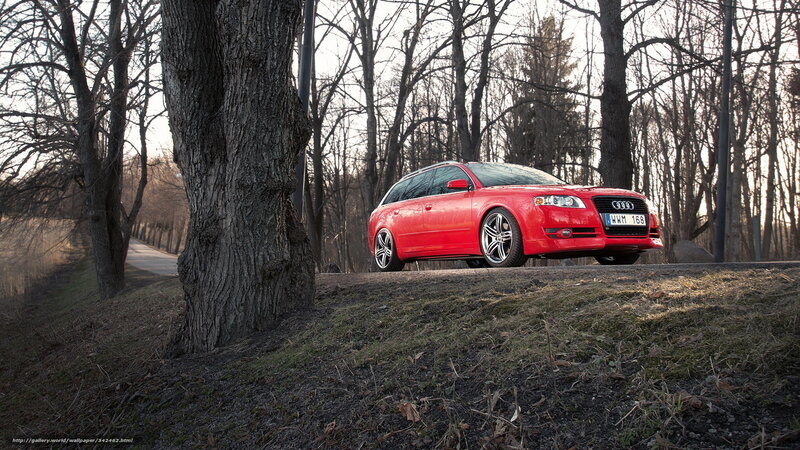 Red Audi in a forest