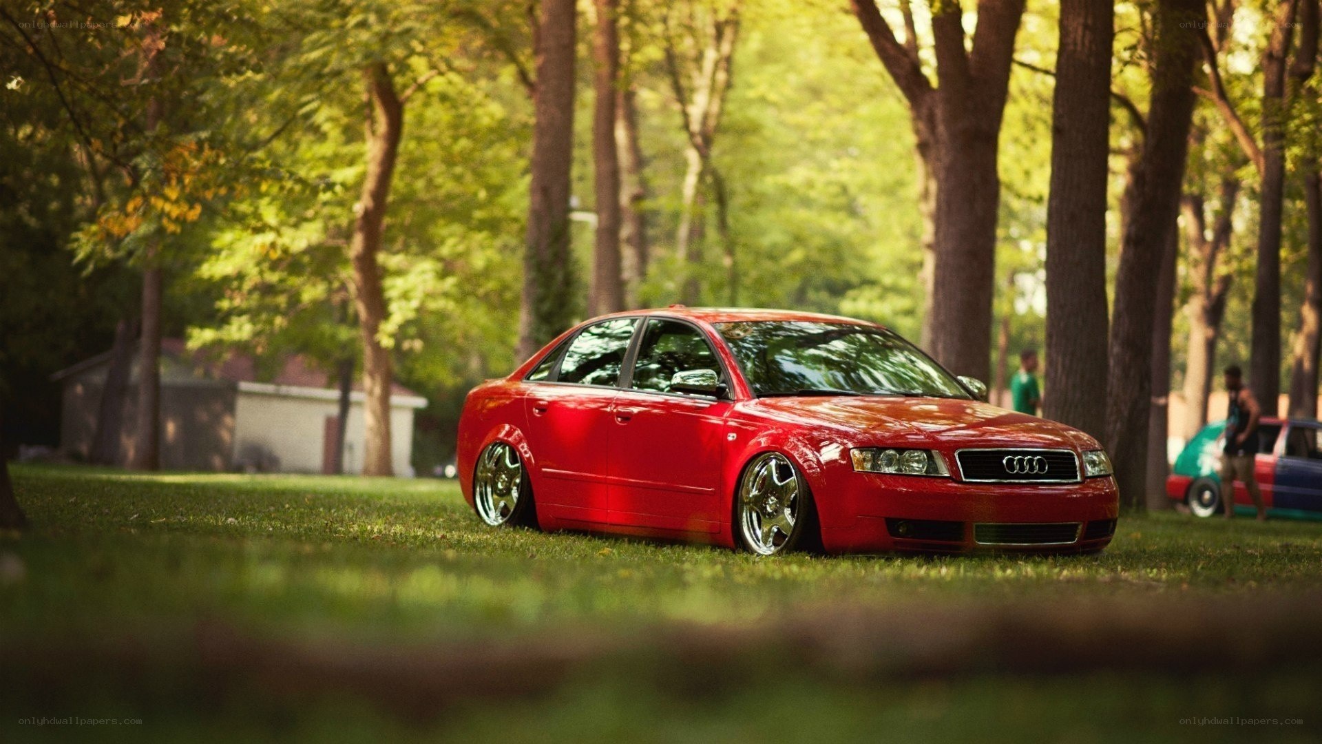 Red Audi in a park