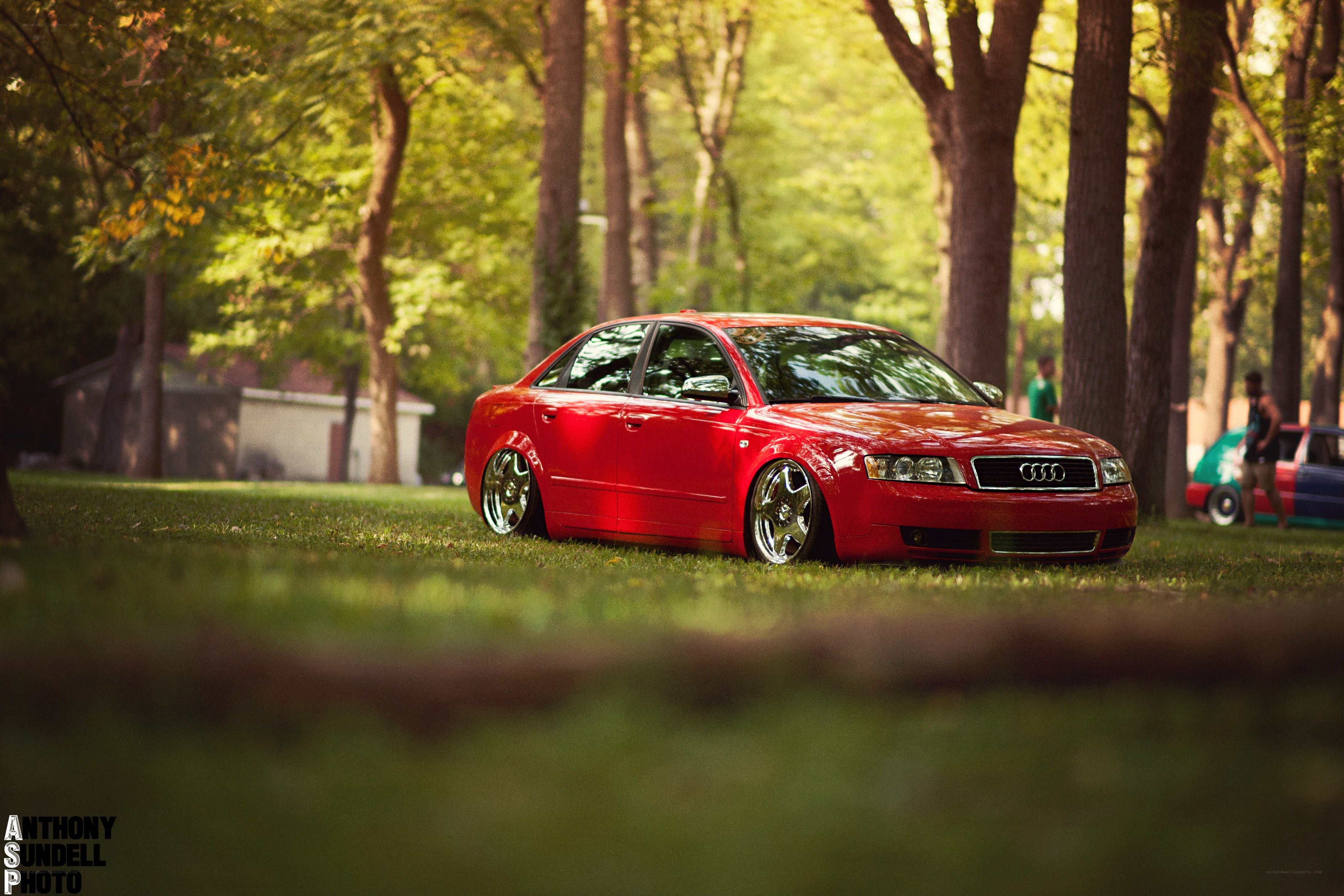 Red Audi in a park