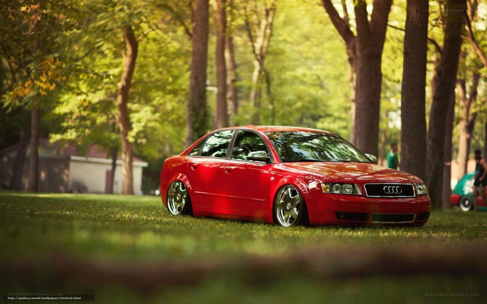 Red Audi in a park