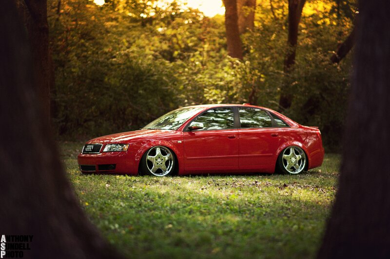 Red Audi in forest clearing