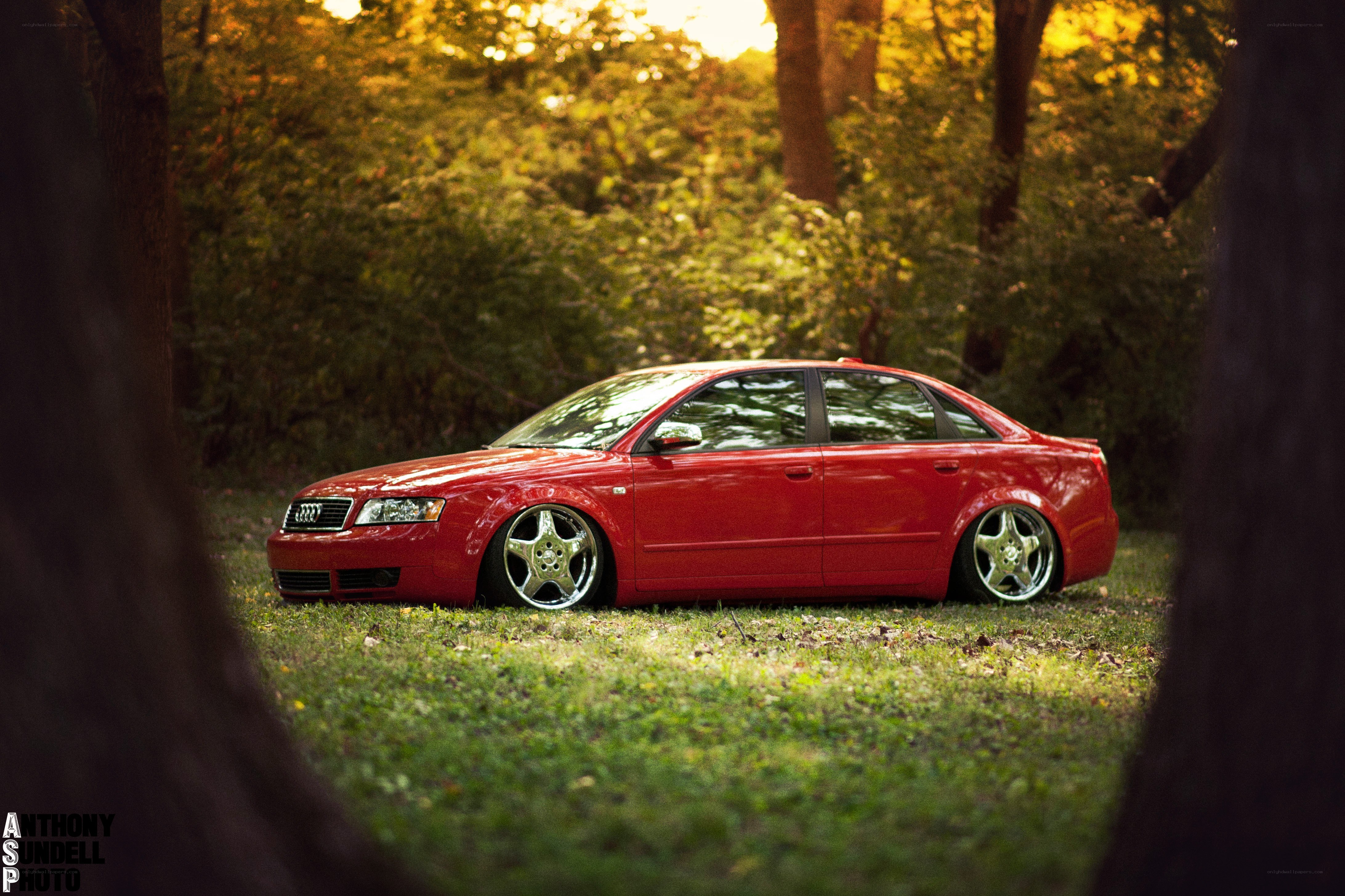 Red Audi in forest clearing