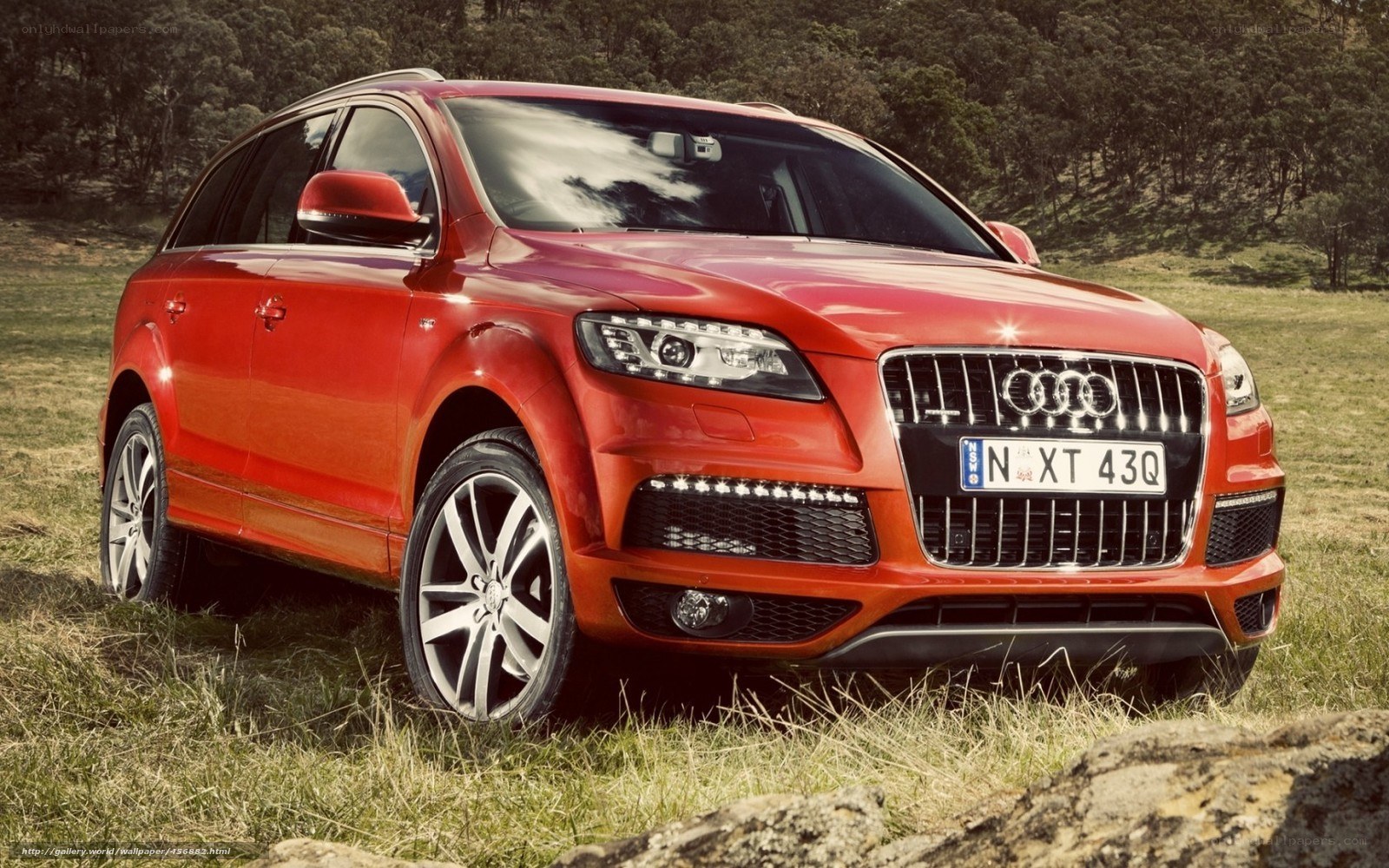 Red Audi Q7 in a field