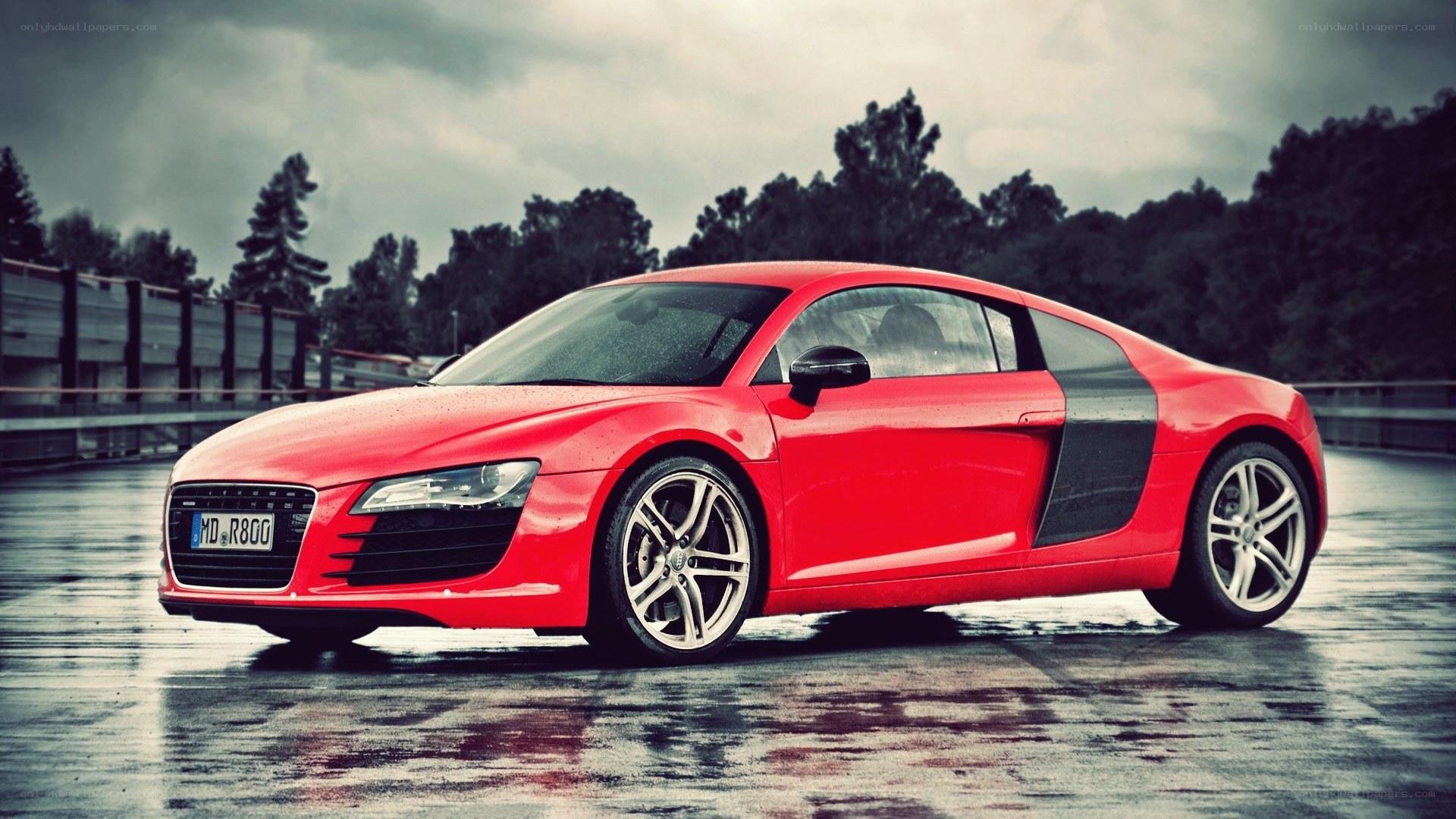 Red Audi R8 on wet pavement