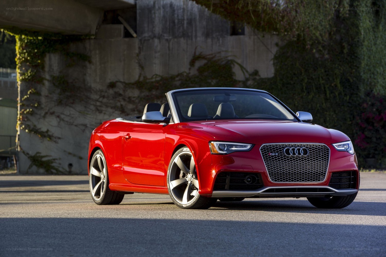 Red Audi S5 Convertible