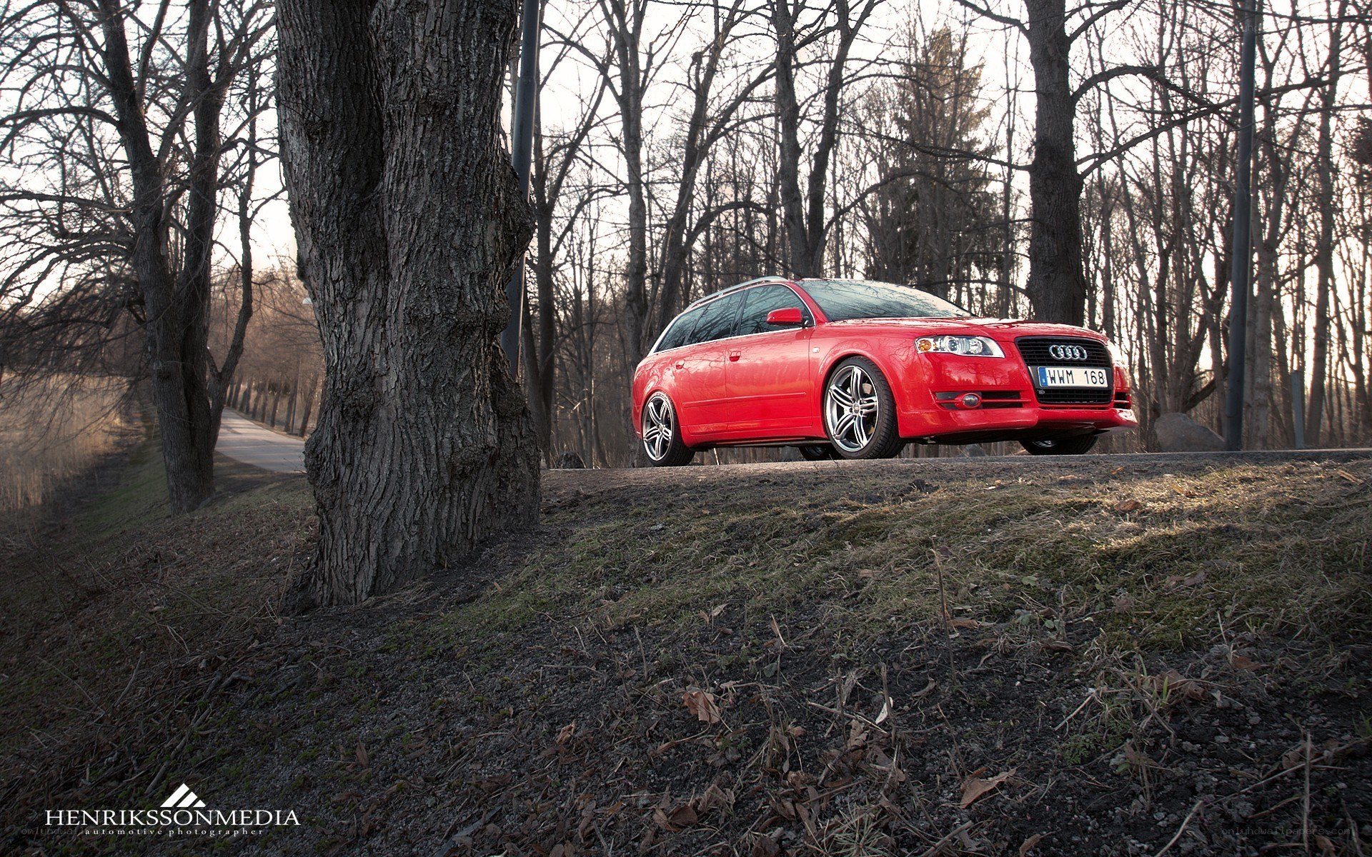 Red Audi station wagon in forest