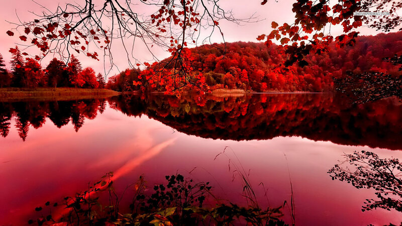 Red Autumn Forest Lake