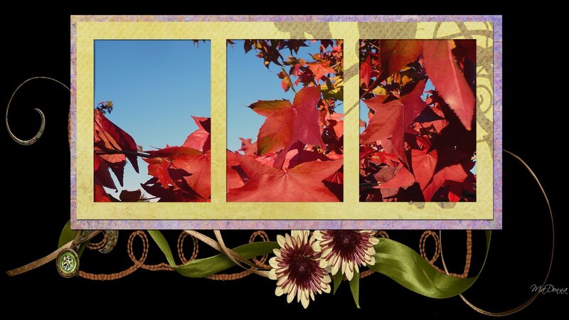 Red Autumn Leaves — Serene