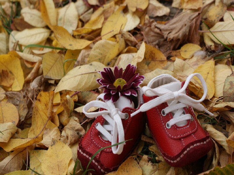 Red Baby Shoes
