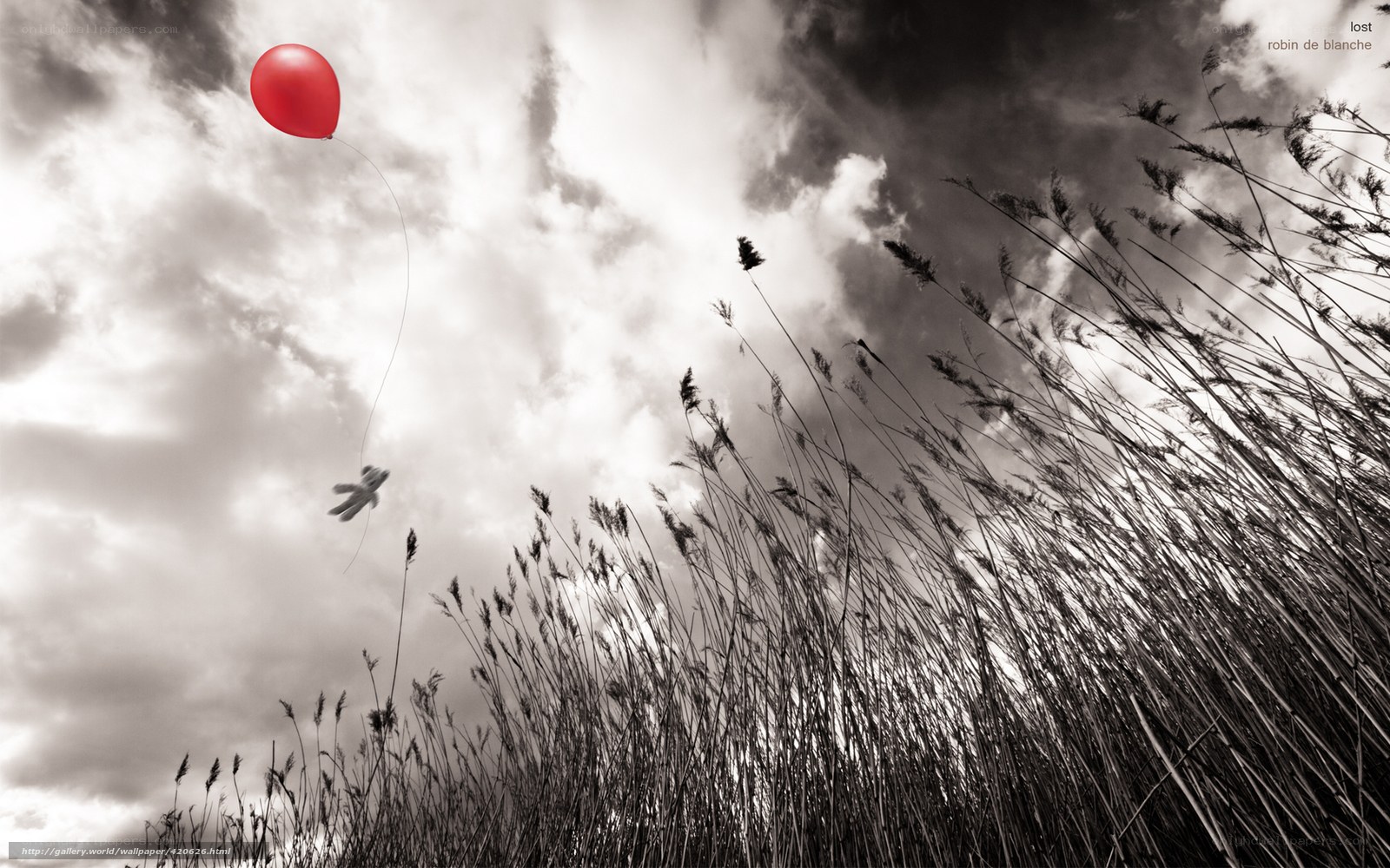 Red balloon in cloudy sky