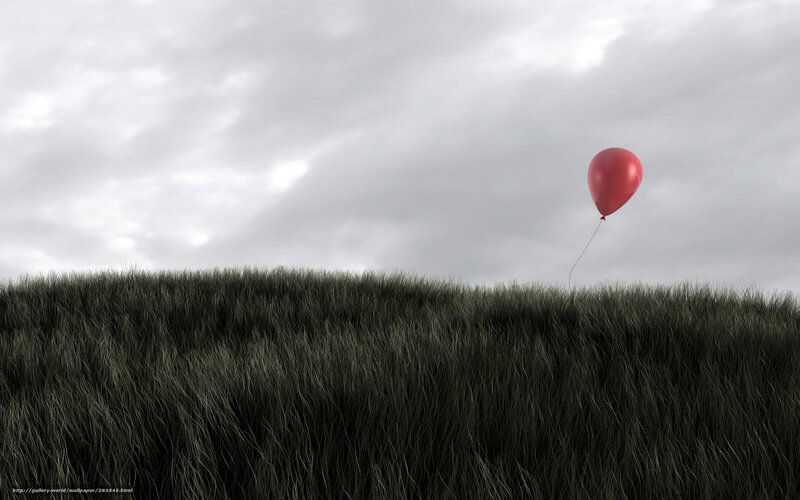 Red Balloon in Field