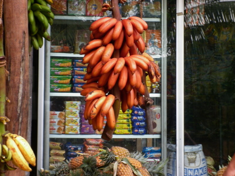 Red Bananas Hanging