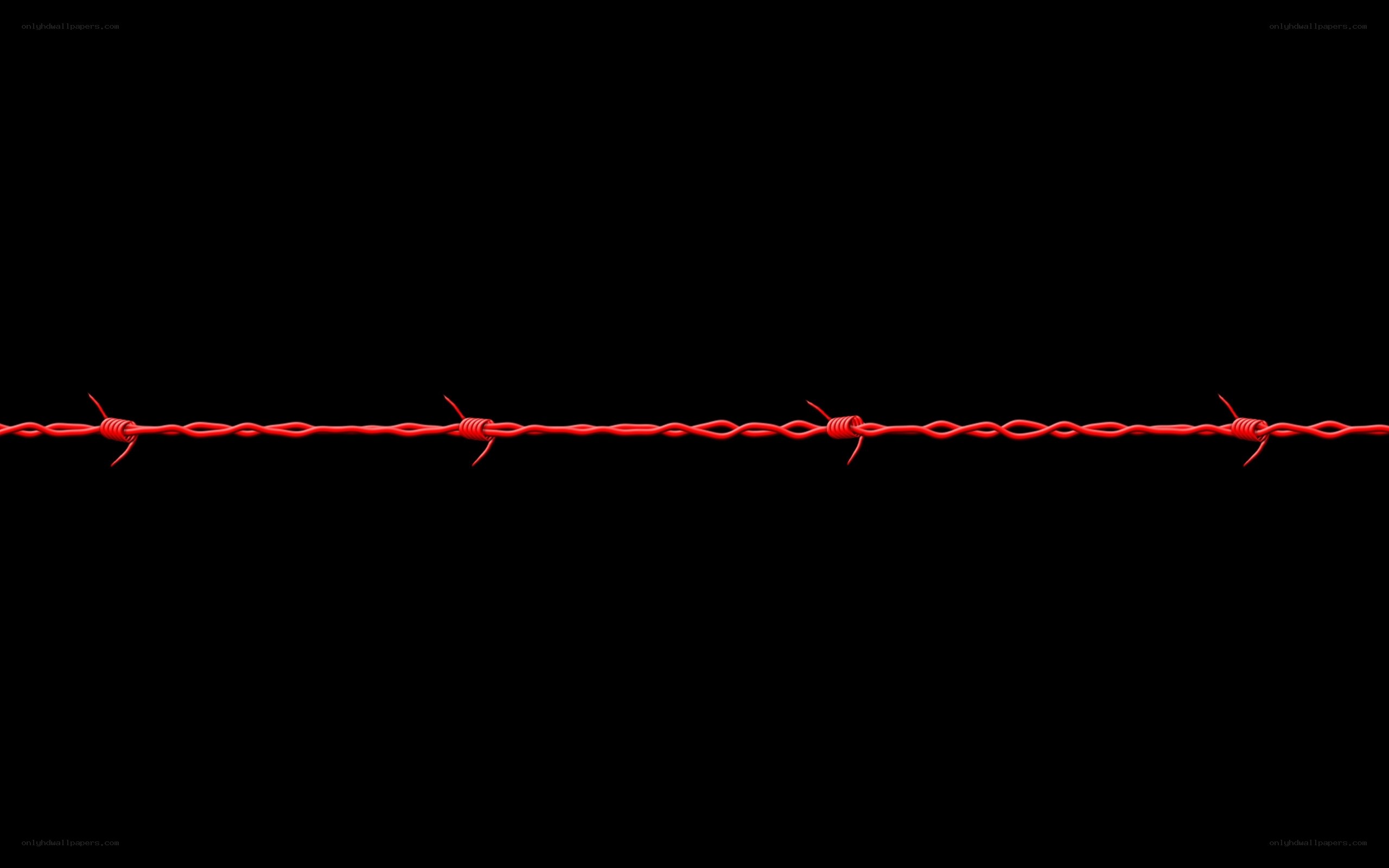Red barbed wire on black