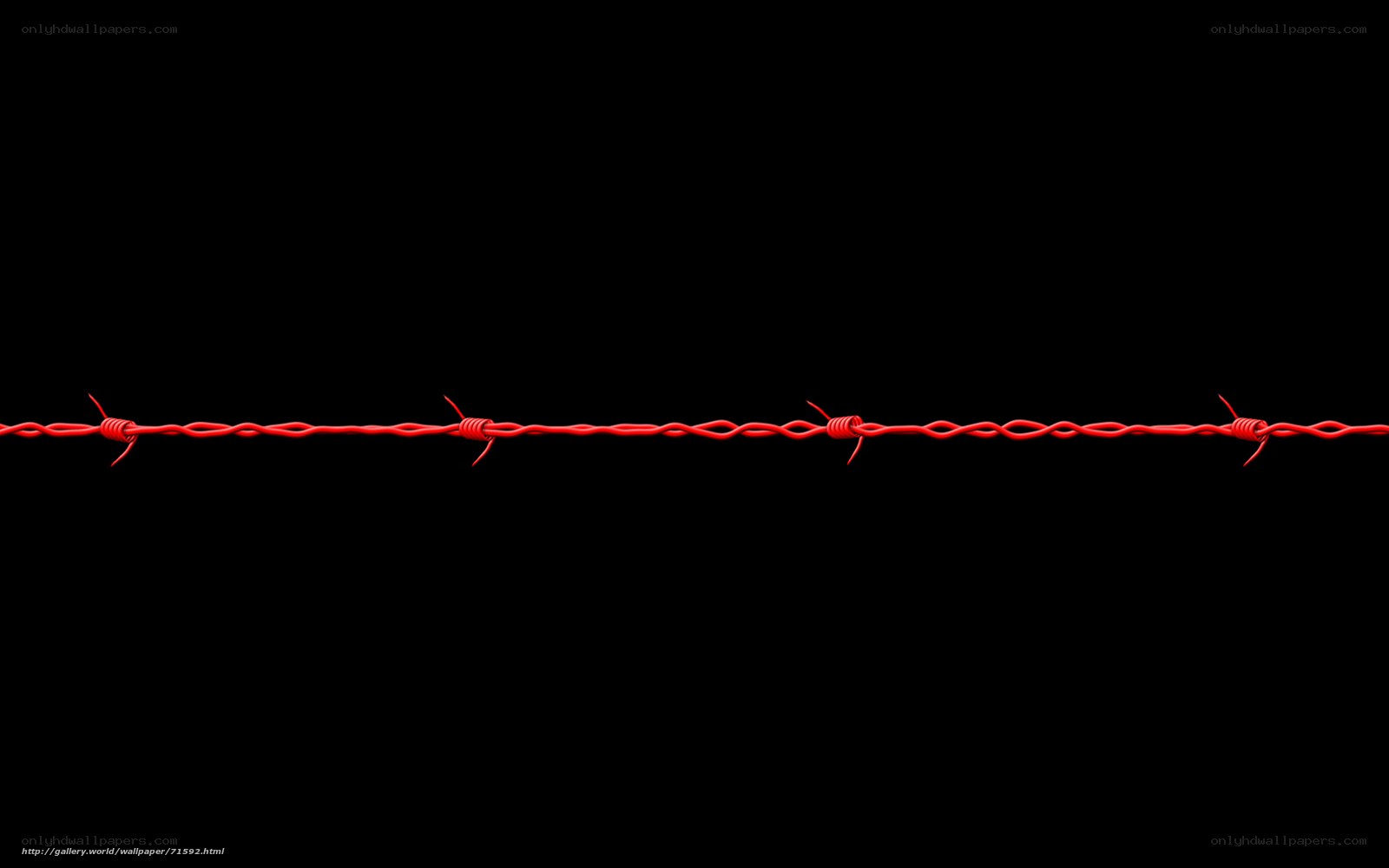 Red barbed wire on black