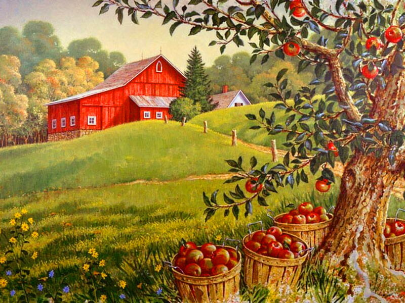Red Barn and Apple Trees