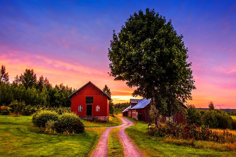 Red Barn at Sunset — Serene, Photograph, Tree, Dirt Road