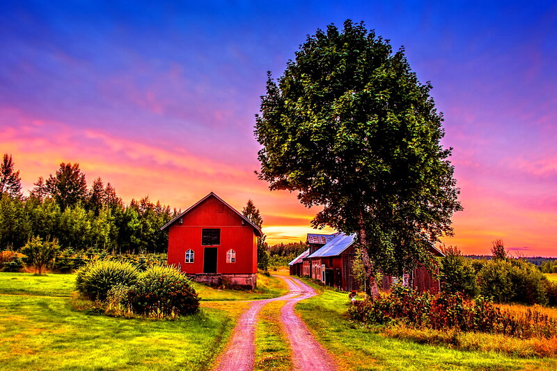 Red Barn at Sunset — Serene, Photograph, Tree