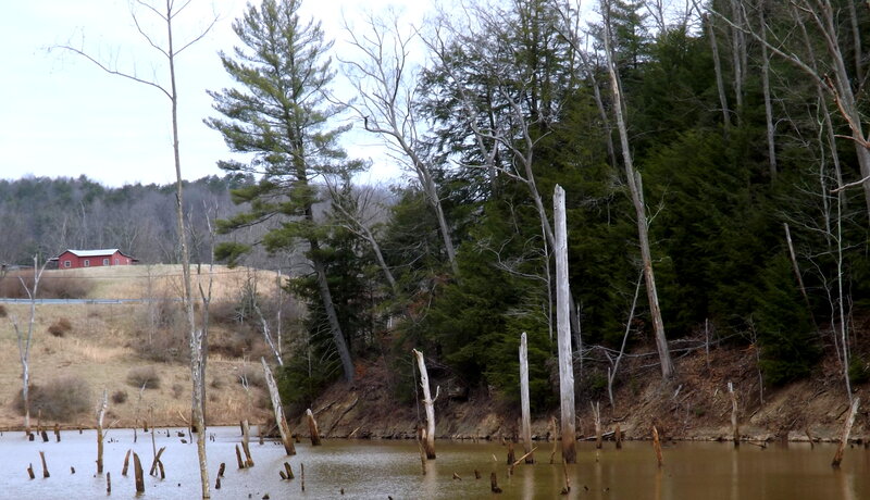 Red Barn by Lake — Brown