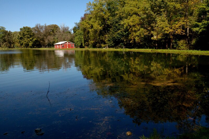 Red Barn by Pond — Blue