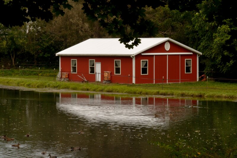 Red Barn by Pond — Serene, Afternoon, Photograph