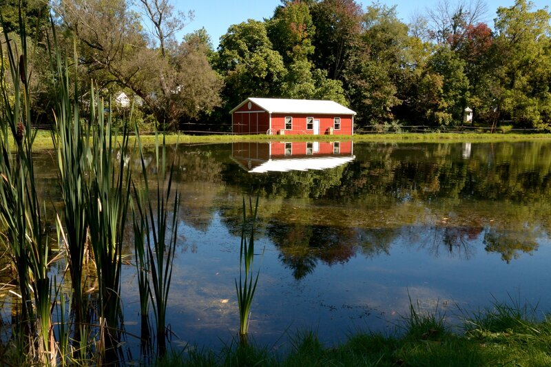 Red Barn by Pond — Serene, Afternoon, Photograph, Trees