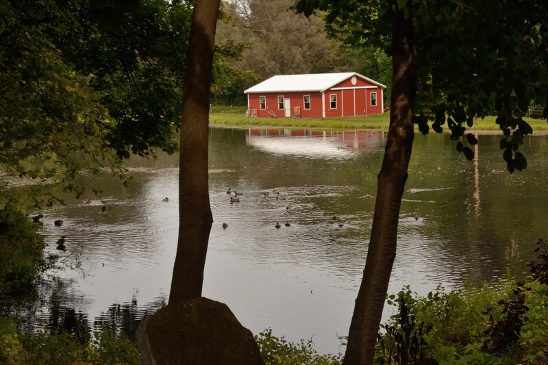 Red Barn by Pond — Serene, Afternoon