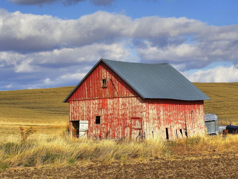 Red barn in a field