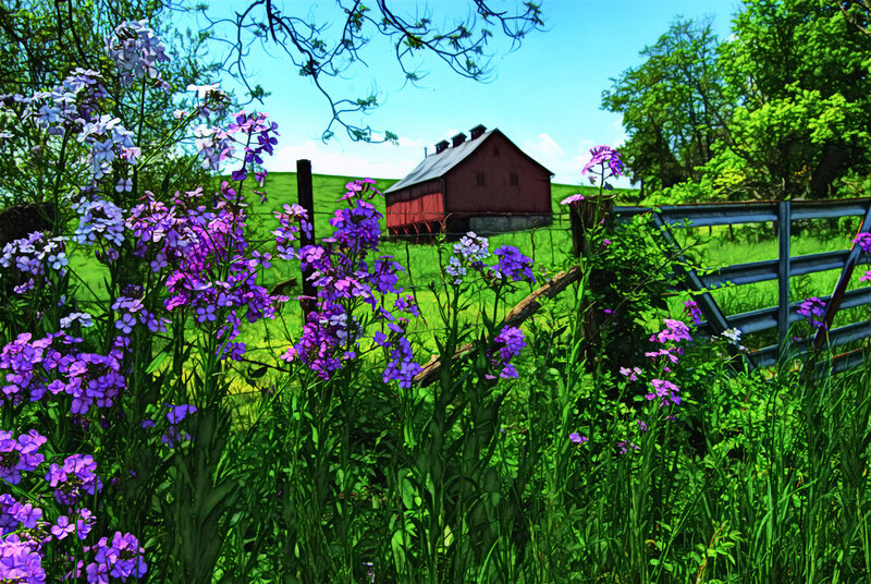 Red barn in a flower-filled field