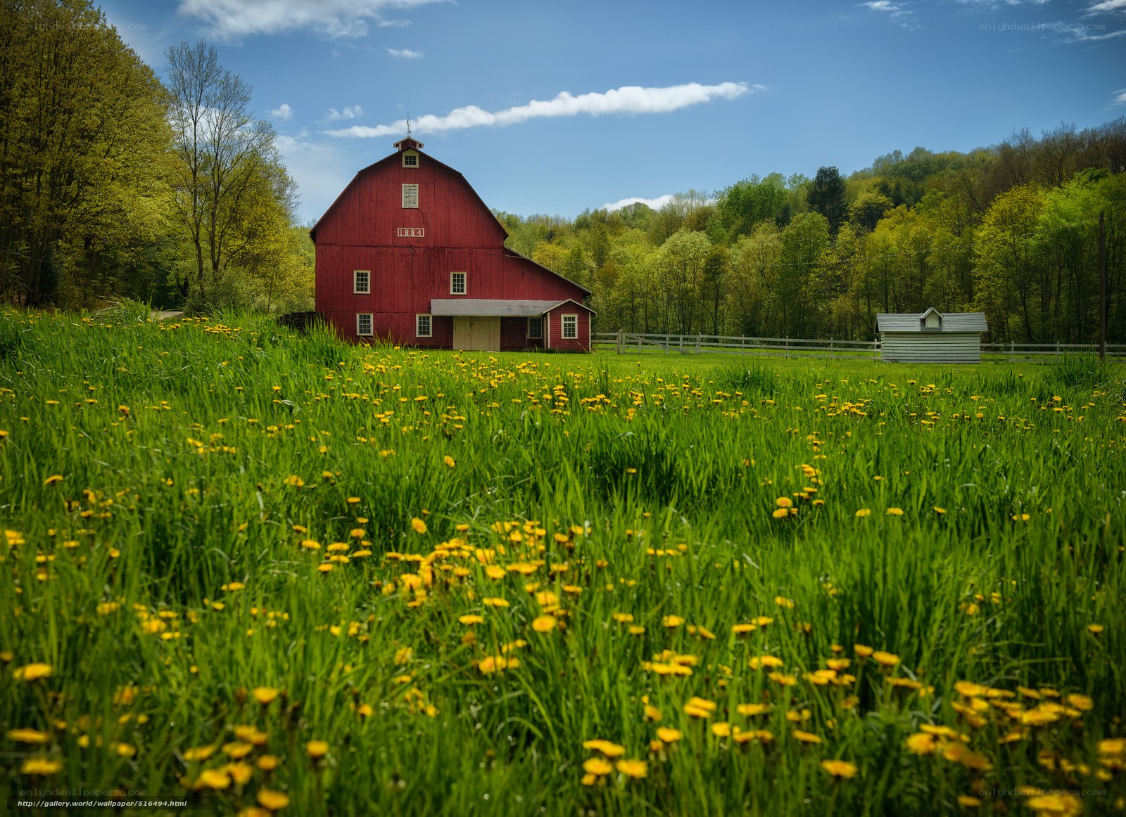 Red barn in a green field