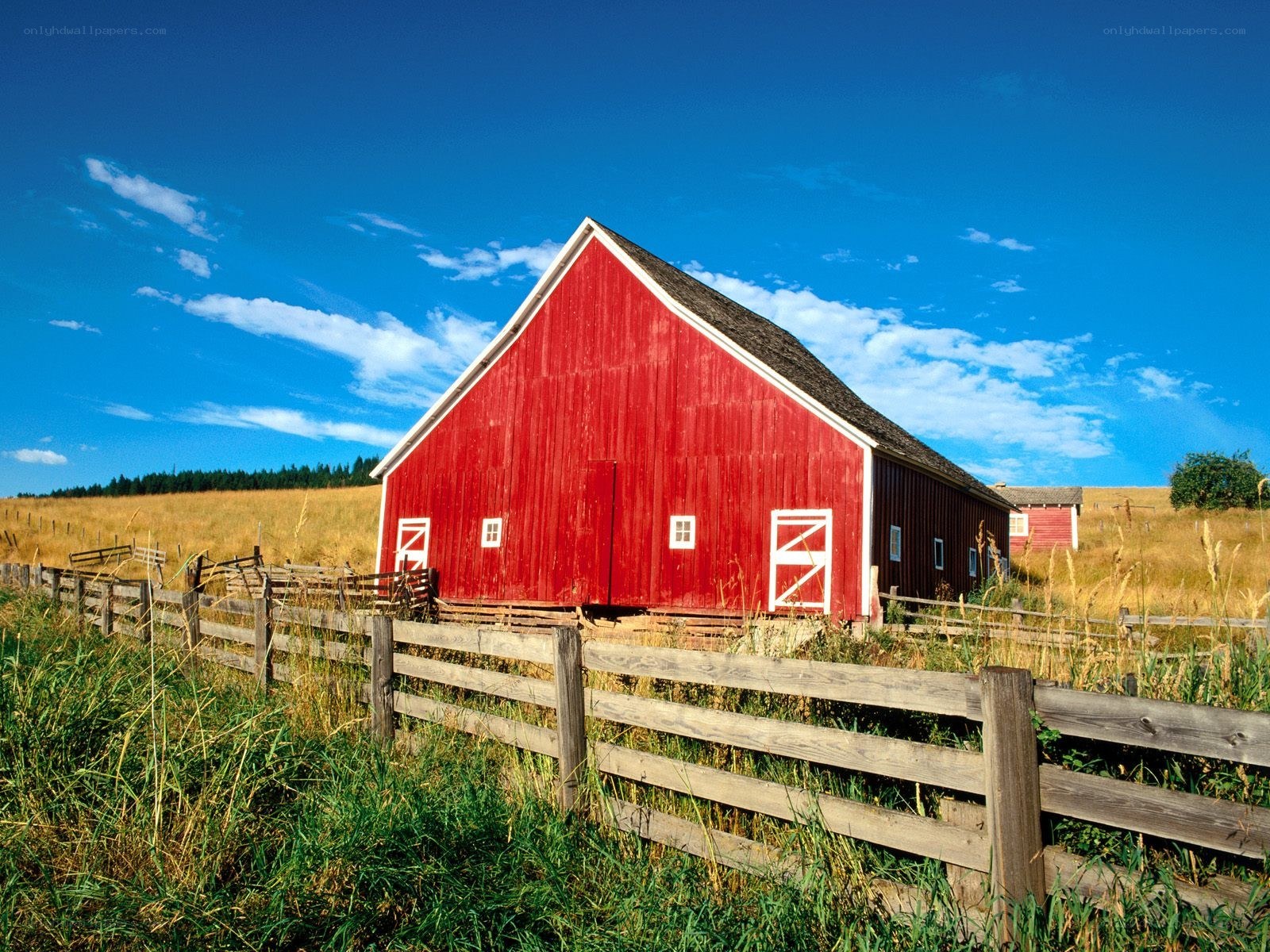 Red barn in a sunny field